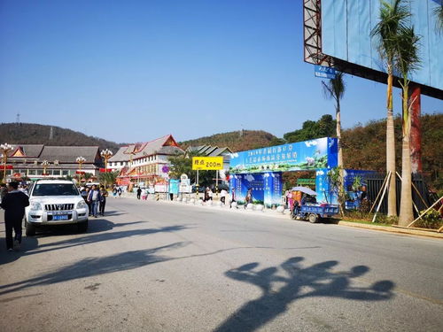 勐海縣市場(chǎng)監(jiān)督管理局強(qiáng)化2019年首屆打洛口岸工藝品展銷會(huì)及旅行社服務(wù)監(jiān)管