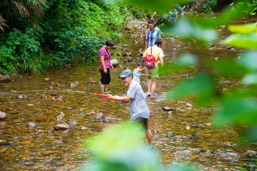 景區(qū)運(yùn)營(yíng)推廣的隱形盲區(qū) 被忽視的游覽過(guò)程管理