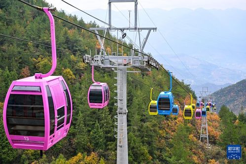 重慶巫山初冬美景引客來(lái)，旅行社服務(wù)網(wǎng)點(diǎn)積極招徠