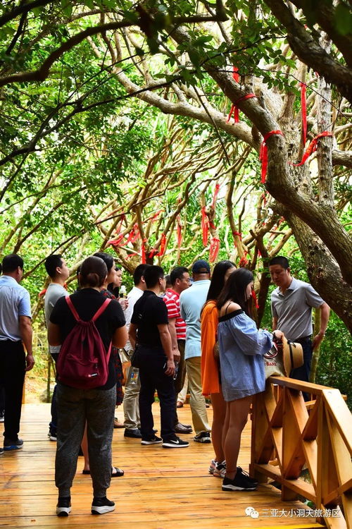 上海春秋總部高層率各地分部管理層考察大小洞天景區(qū) 共商全域旅游產(chǎn)品推廣與景區(qū)管理新思路